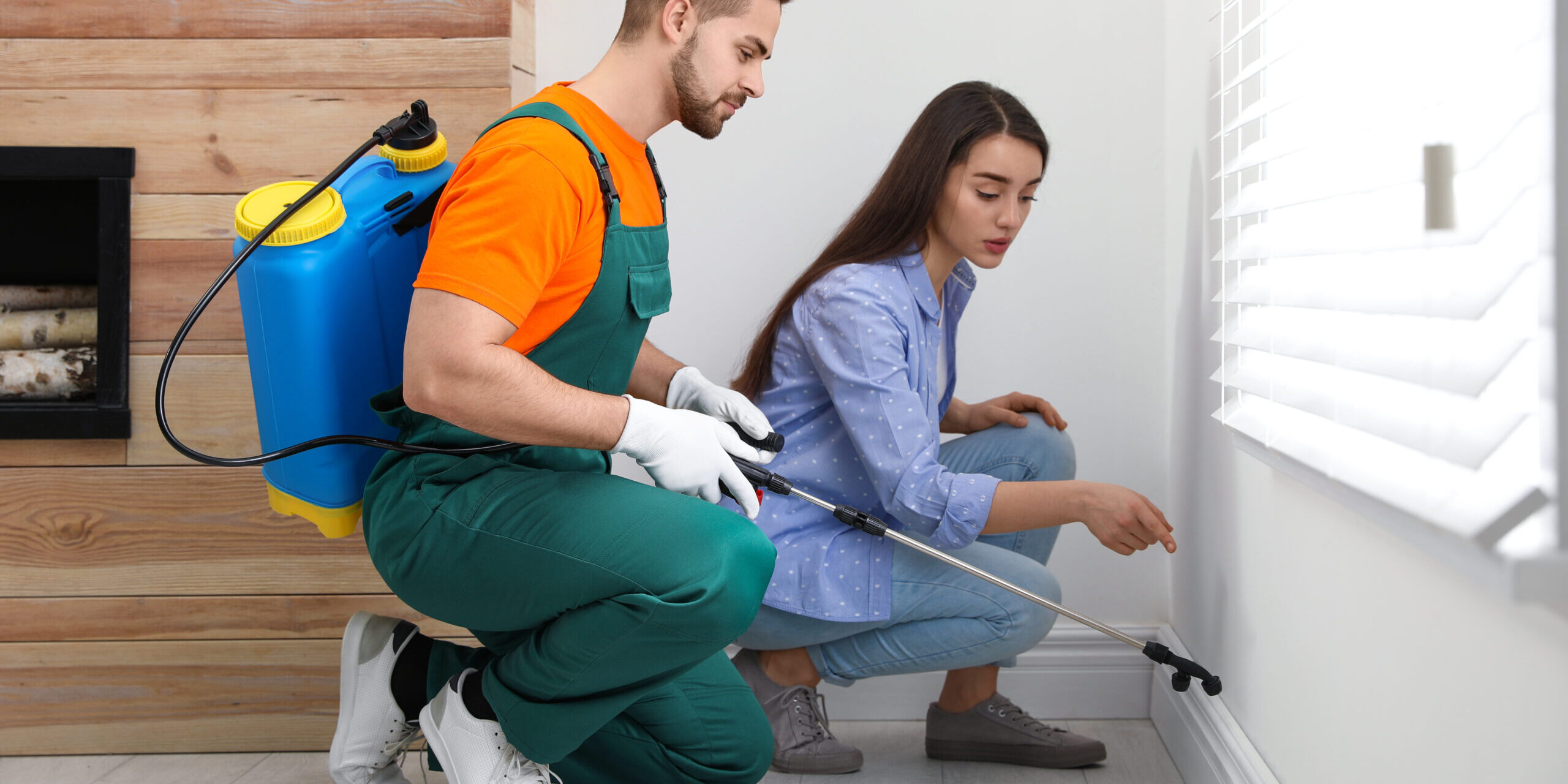 Pest Control Service Provider Near Me