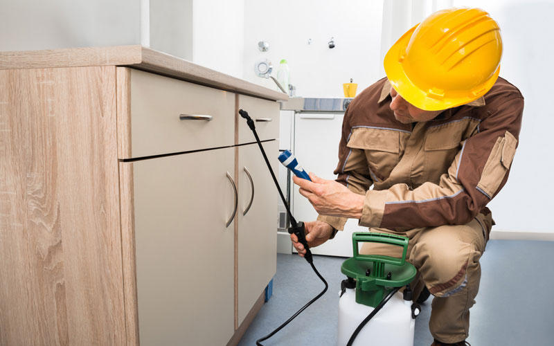 service-img.jpg